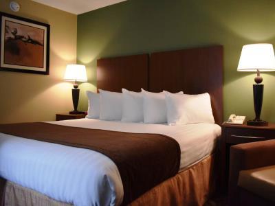 Hotel Clarion Pointe - Atlanta South
