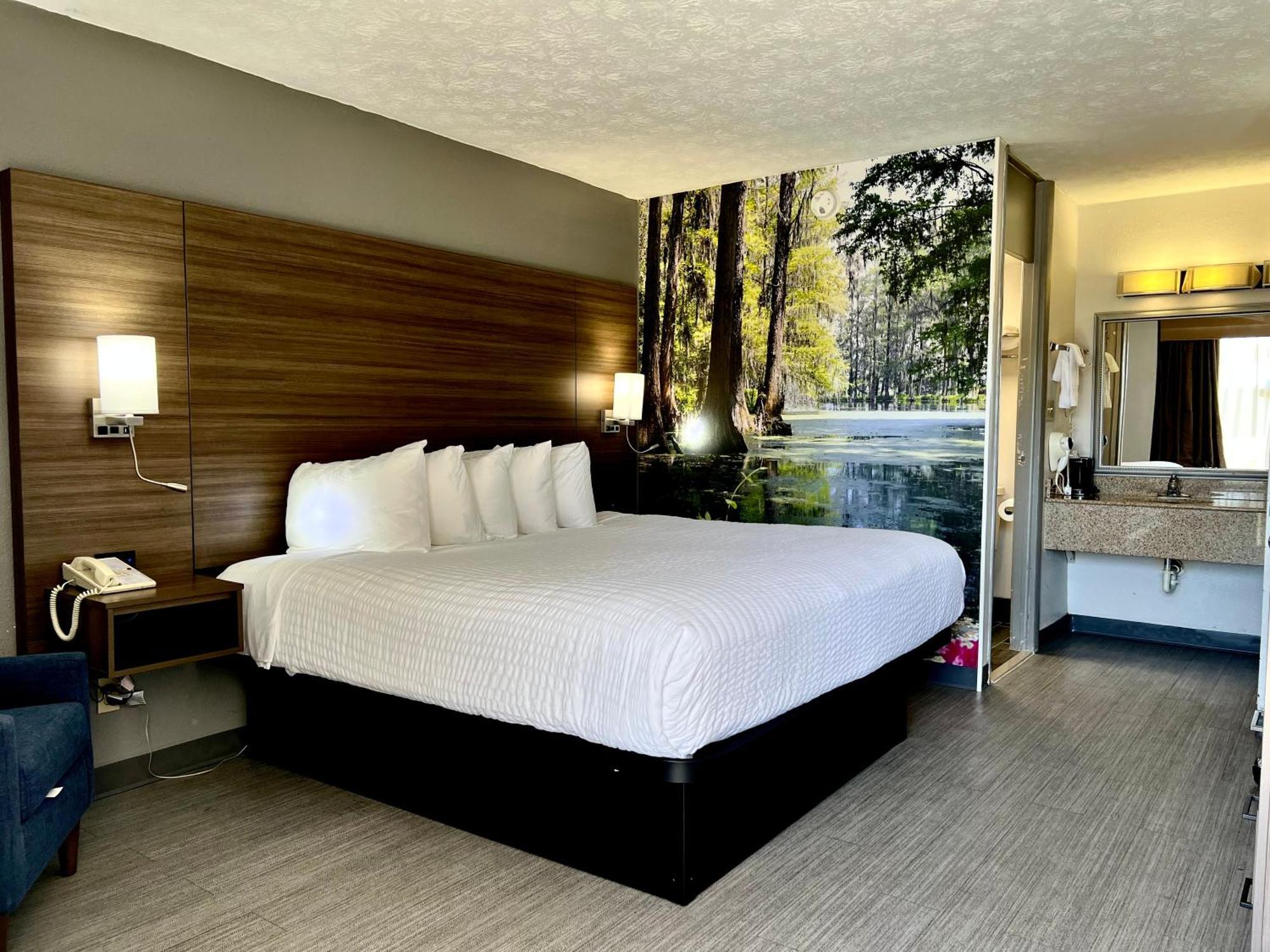 Clarion Pointe - Atlanta South 3*
